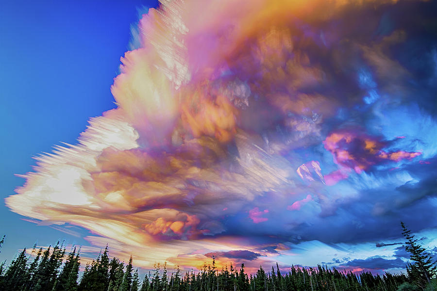 High Elevation Forest Sunset Sky Timed Stack Photograph by James BO Insogna