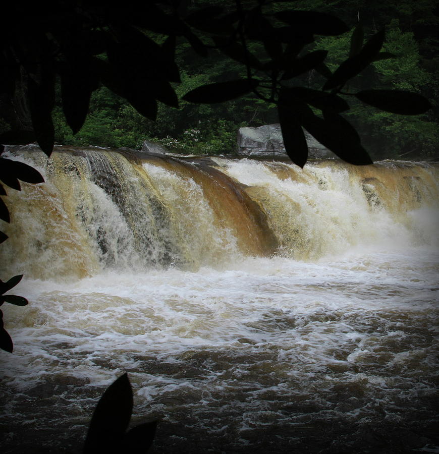 high falls of the cheat