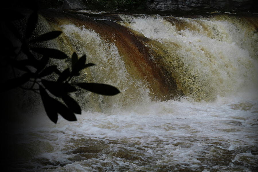 high falls of the cheat