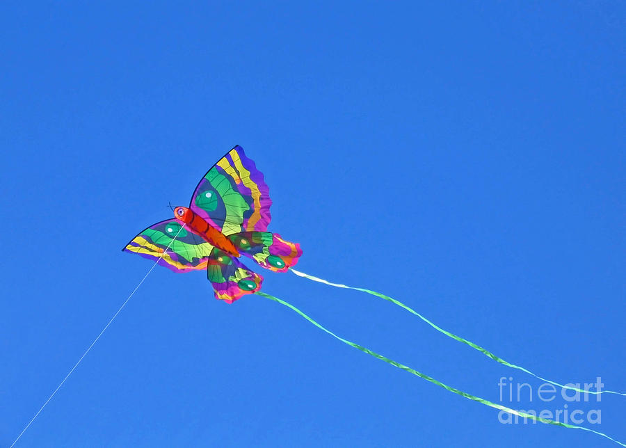 High Flying Butterfly Kite Photograph