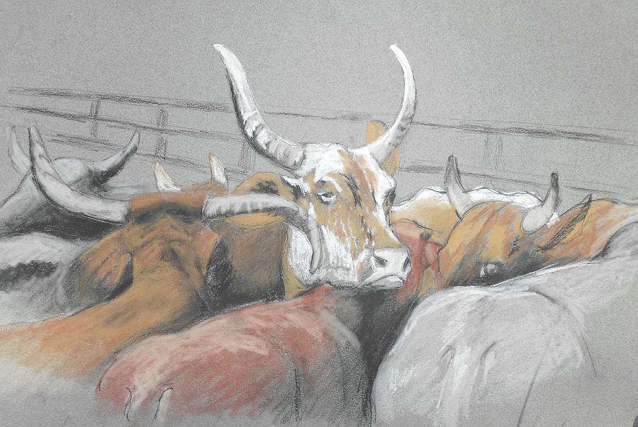 High Horns Drawing by Cynthia Westbrook