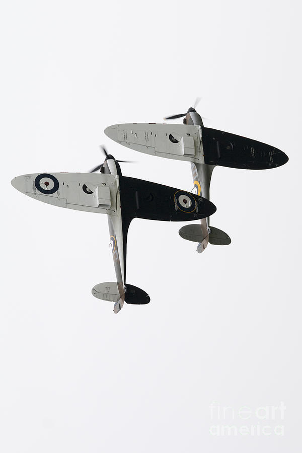 High Key Spitfires Digital Art by Airpower Art