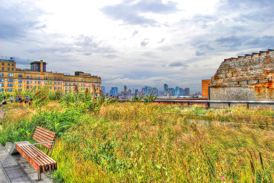 New York City Photograph - High Line on the Hudson by Randy Aveille