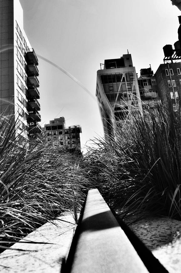 High Line Photograph by Pelo Blanco Photo