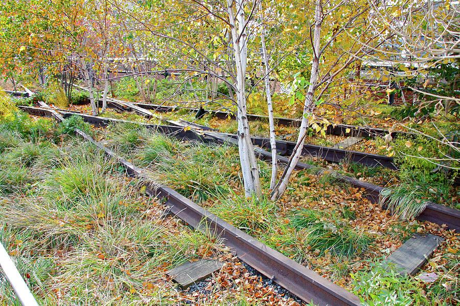 High Line Print 2 Photograph by Terry Wallace