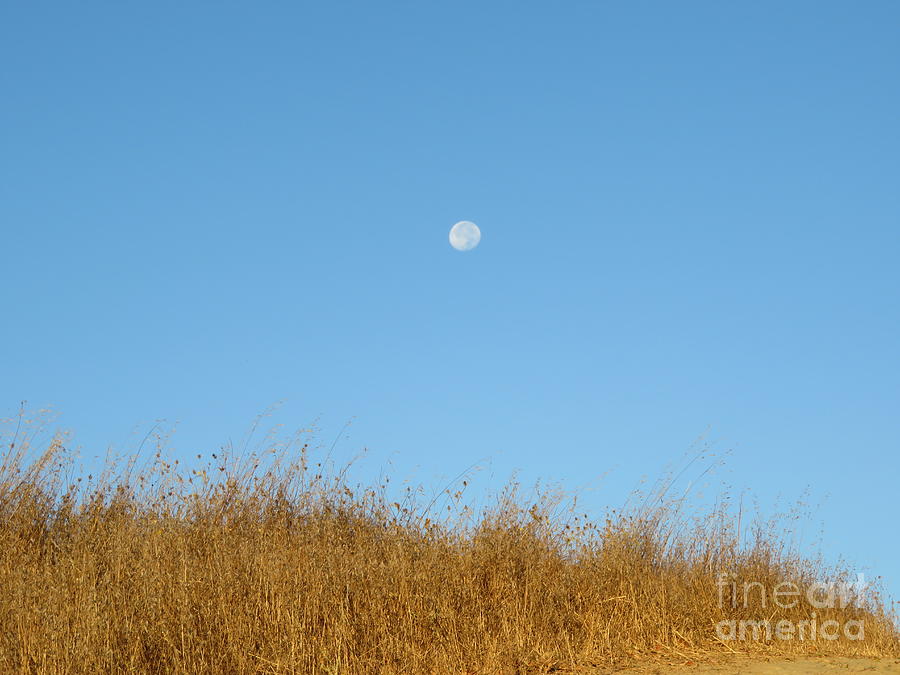 Nature Photograph - High Moon by Suzanne Leonard