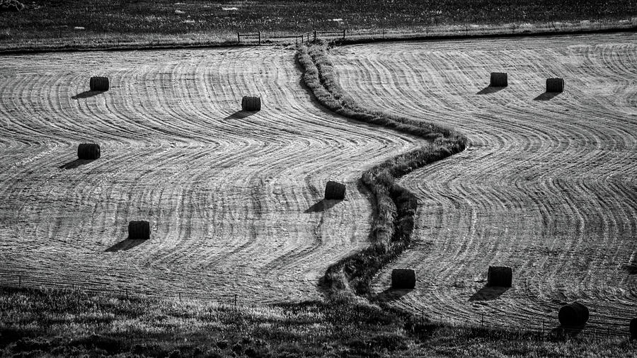 High Mountain Hay Field #2 Photograph by Stephen Holst