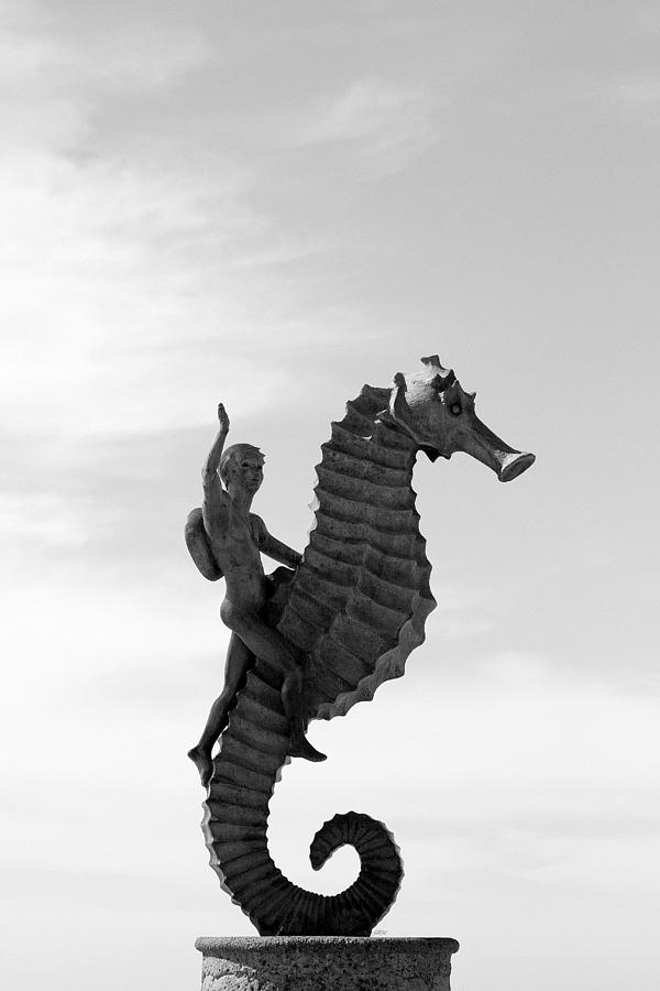 Seahorse Photograph - High-O Silver by Jason Blalock