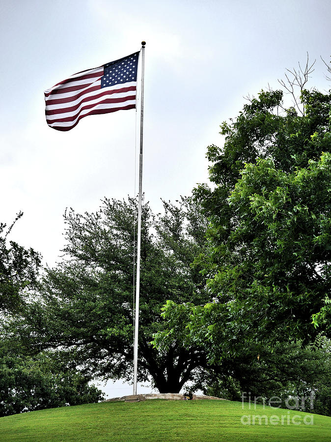 High on the Hill Photograph by Gary Richards - Fine Art America