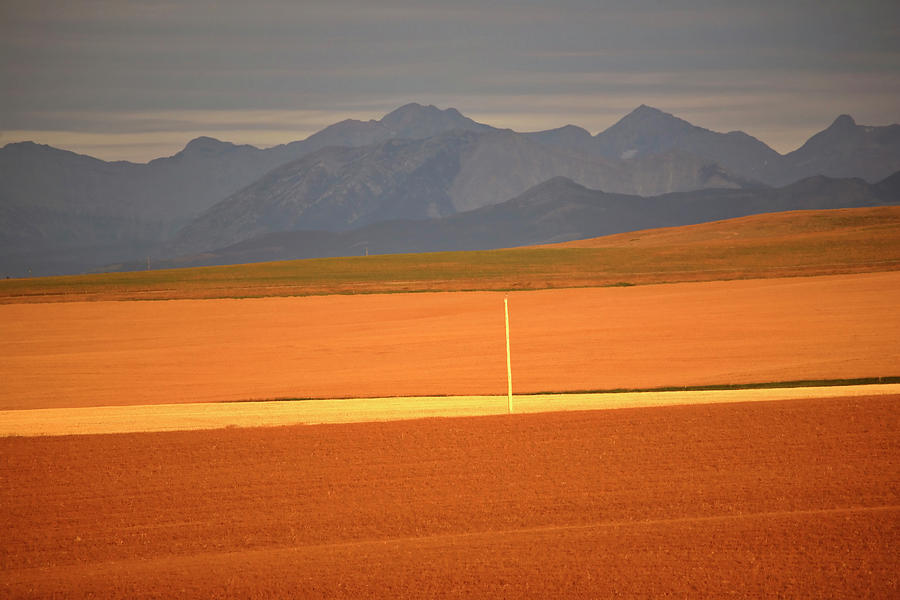 High Plains of Alberta with Rocky Mountains in distance Digital Art by Mark Duffy