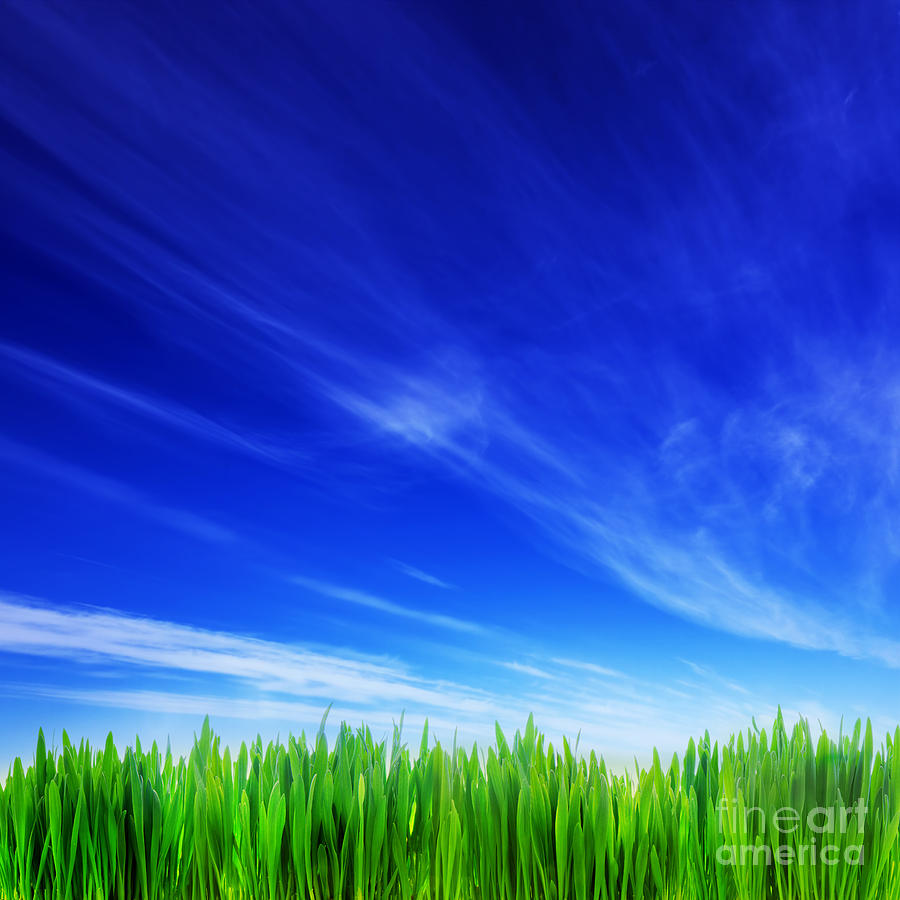 Blue Sky Green Grass High Resolution