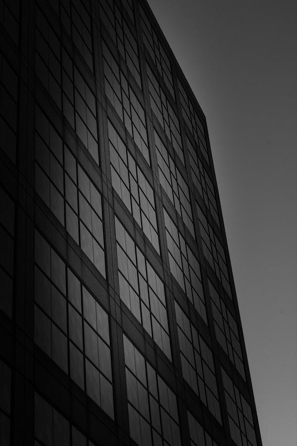 High Rise Windows Photograph by Bill Wiebesiek