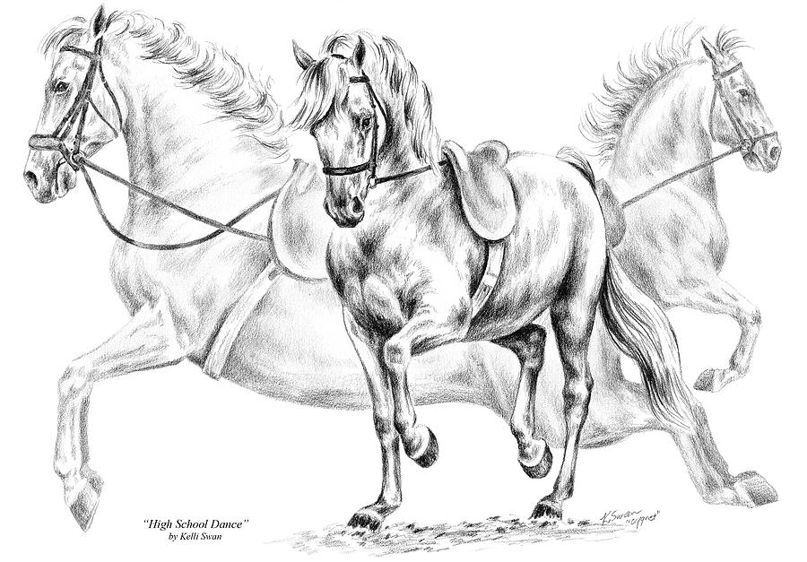 High School Dance - Lipizzan Horse Print Drawing by Kelli Swan