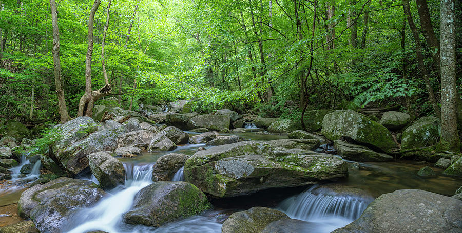 High Shoals Falls Trail in South Mountain Panorama Photograph by Ranjay Mitra