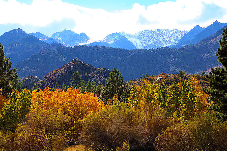 High Sierra Fall Colors Photograph by Viktor Savchenko