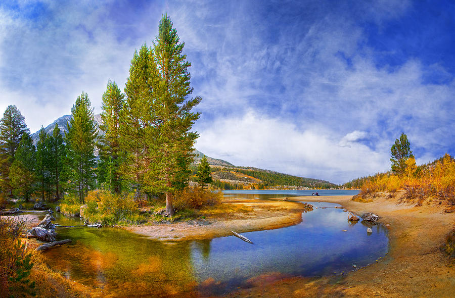High Sierra Heaven Photograph by Lynn Bauer