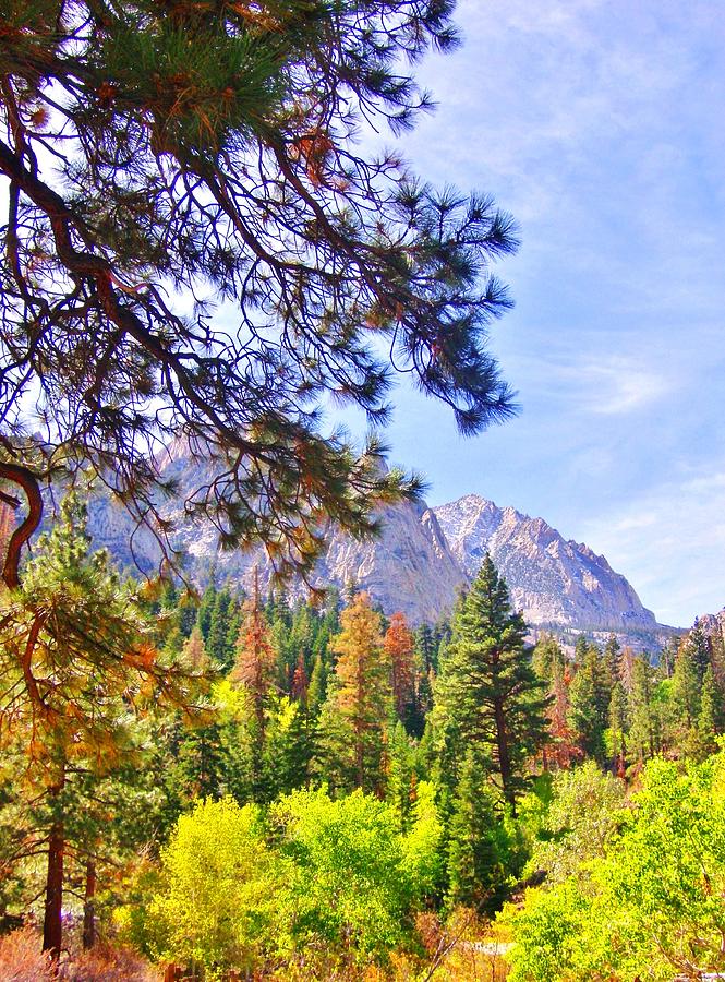High Sierra Photograph by Marilyn Diaz