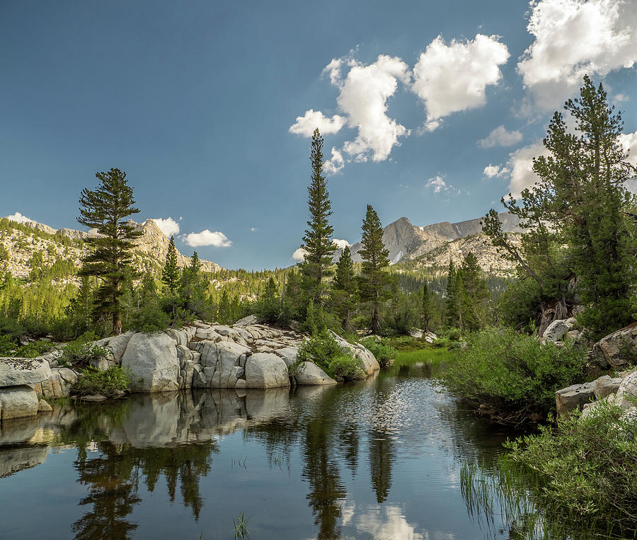 High Sierra Photograph by Martin Gollery