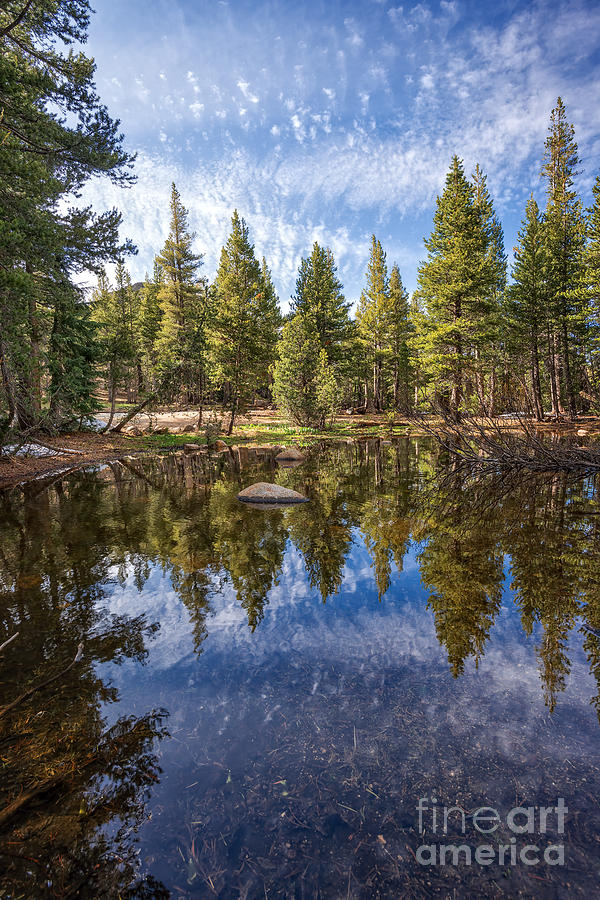 High Sierra Pond Photograph by Dianne Phelps | Fine Art America