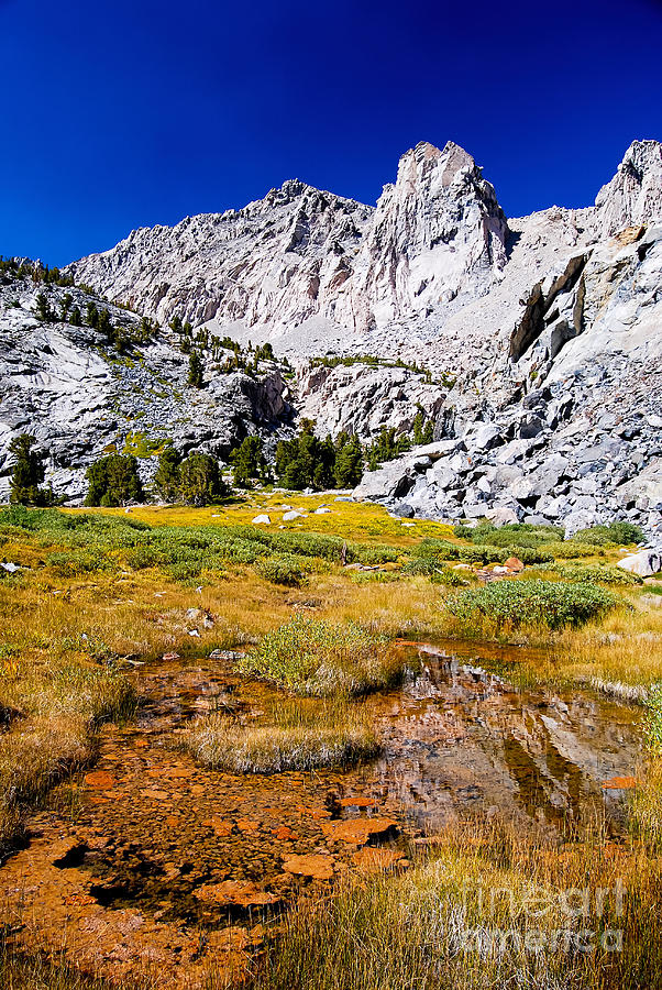 Tree Photograph - High Sierra Pools by Baywest Imaging