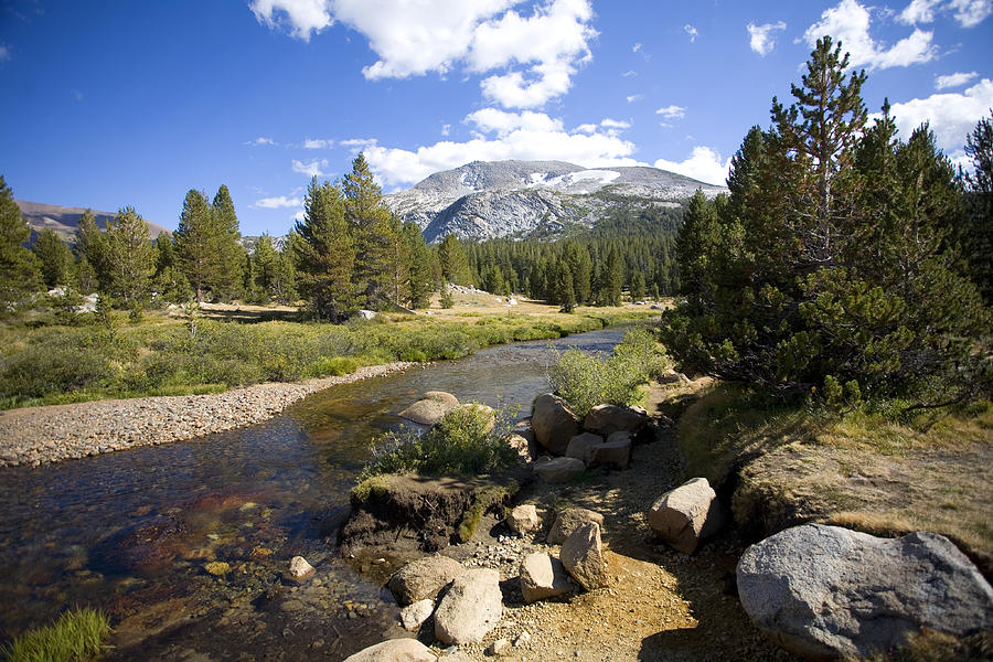 High Sierras Stream Photograph by Bonnie Bruno