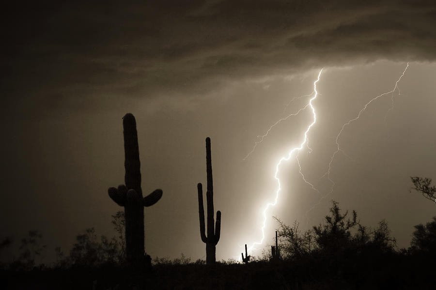 High Southwest Desert Lightning Strike Photograph by James BO Insogna