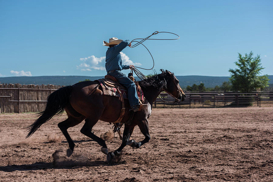 High Speed Cowboy Roping Photograph