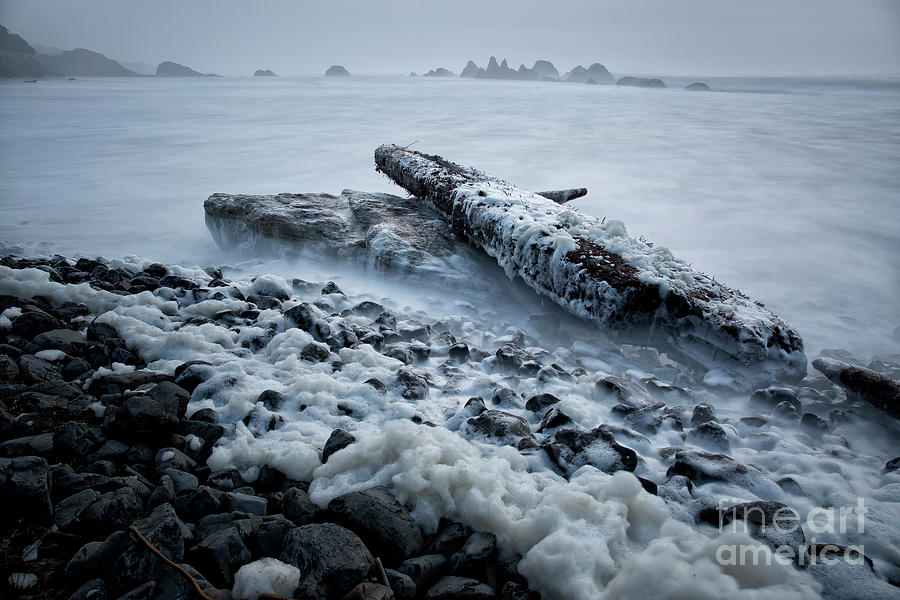 high tide at Seal Rock State Park Photograph