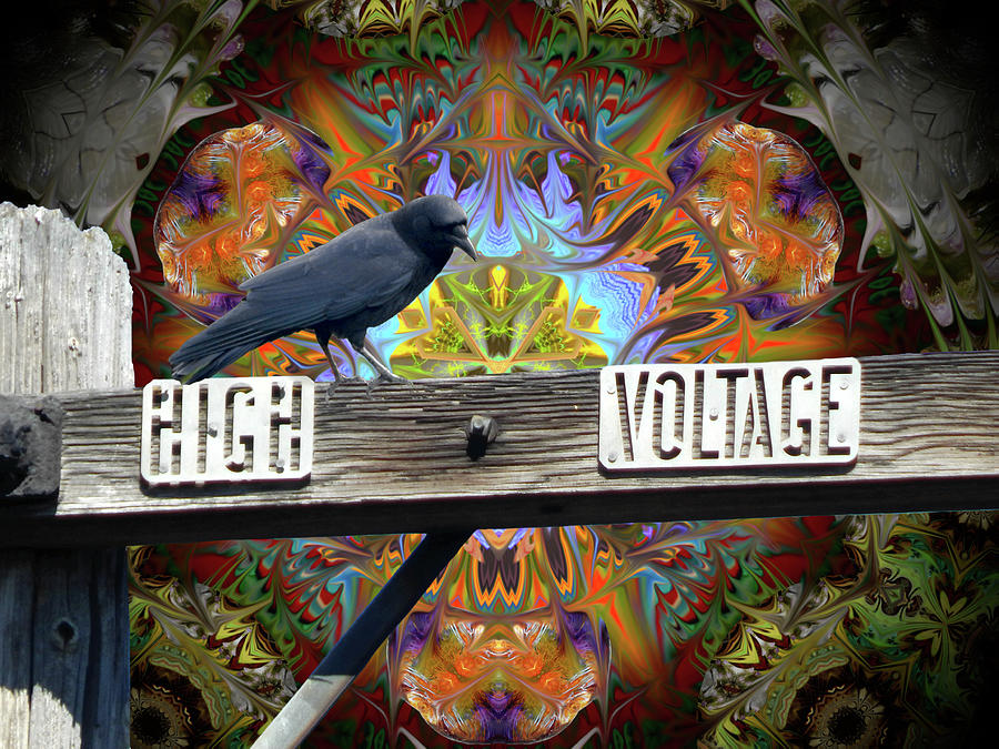 High Voltage #2 Digital Art by Glen Faxon