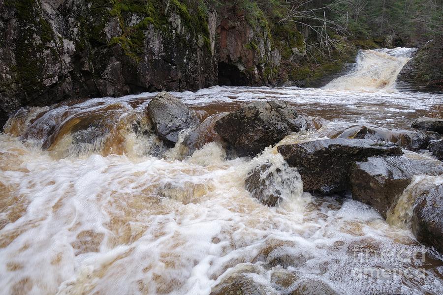 High water on Carlson Creek Photograph by Sandra Updyke