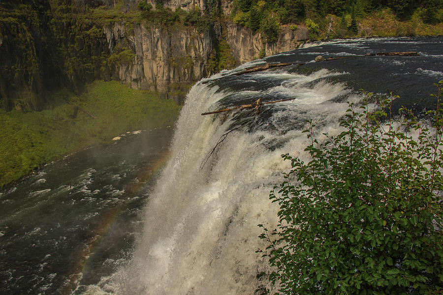 High Water Year At Mesa Falls Photograph by Yeates Photography