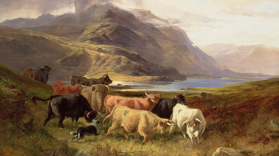 Cow Painting - Highland Cattle with a Collie by Joseph Adam