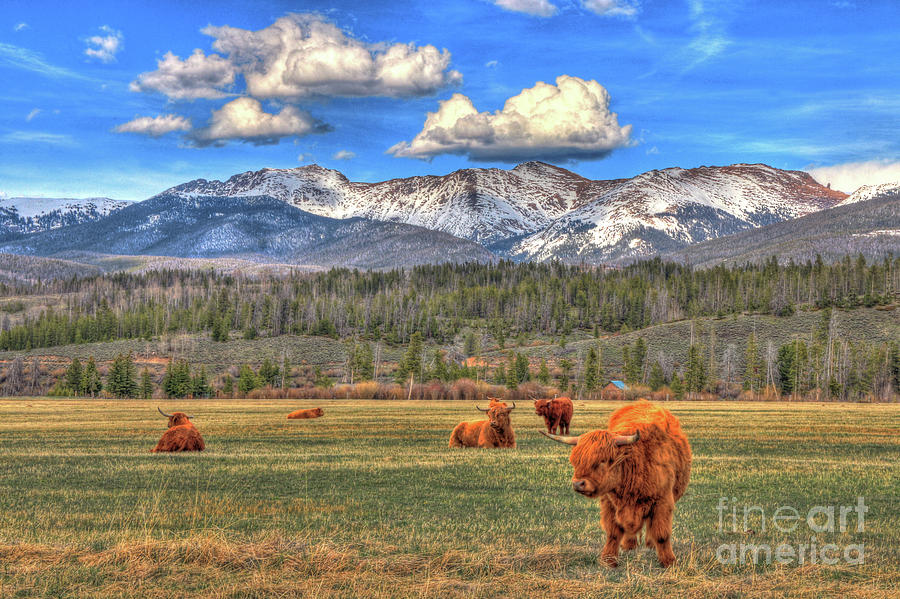 Highland Colorado Photograph by Scott Mahon