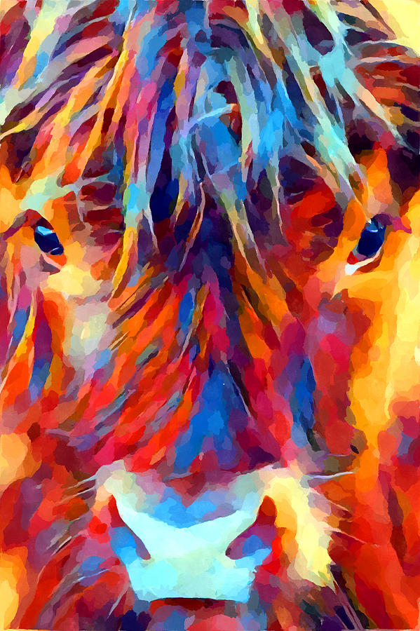 Cow Painting - Highland Cow by Chris Butler