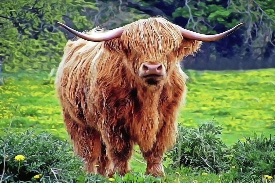 Highland Cow Painting by Harry Warrick