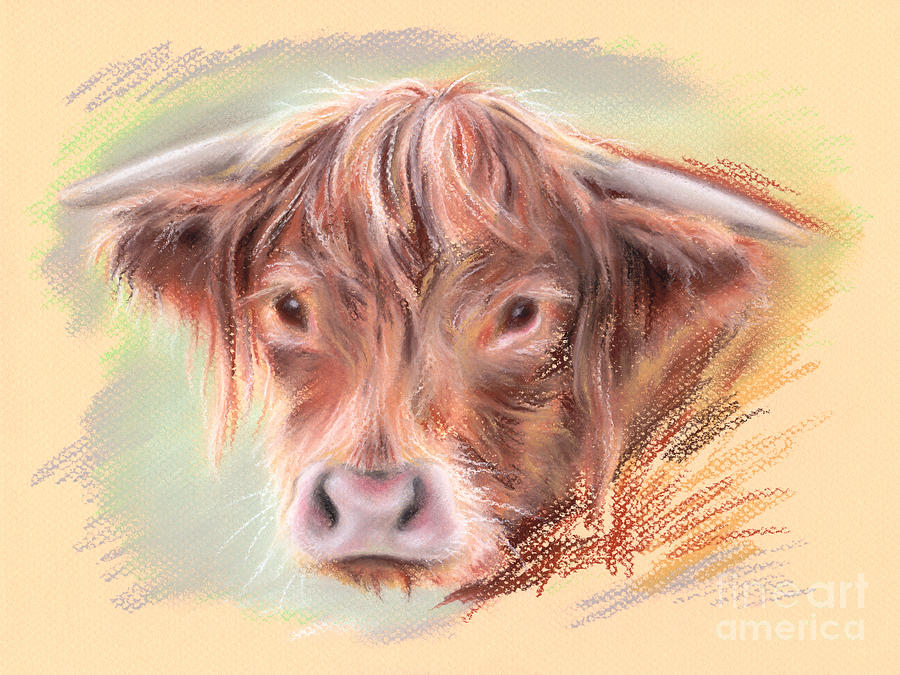 Highland Cow Pastel Pastel by MM Anderson