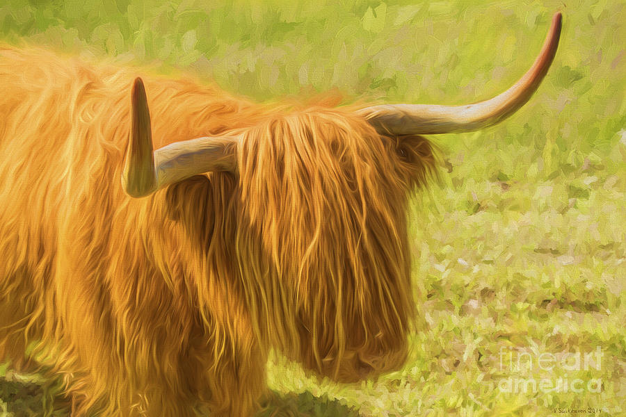 Nature Painting - Highland Cow by Veikko Suikkanen