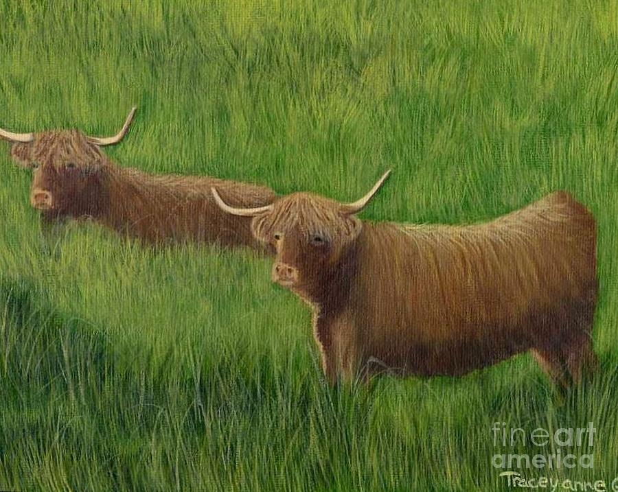 Highland cows Painting by Tracey Goodwin