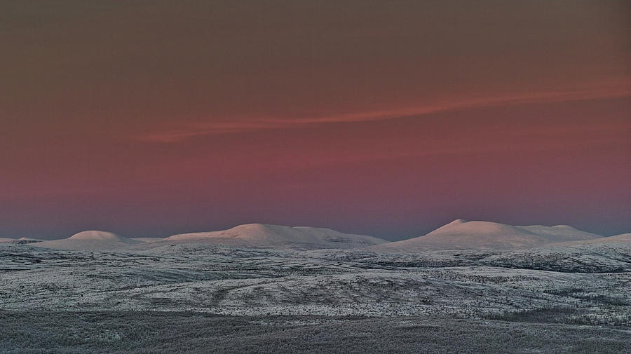Highland Dawn Photograph by Pekka Sammallahti