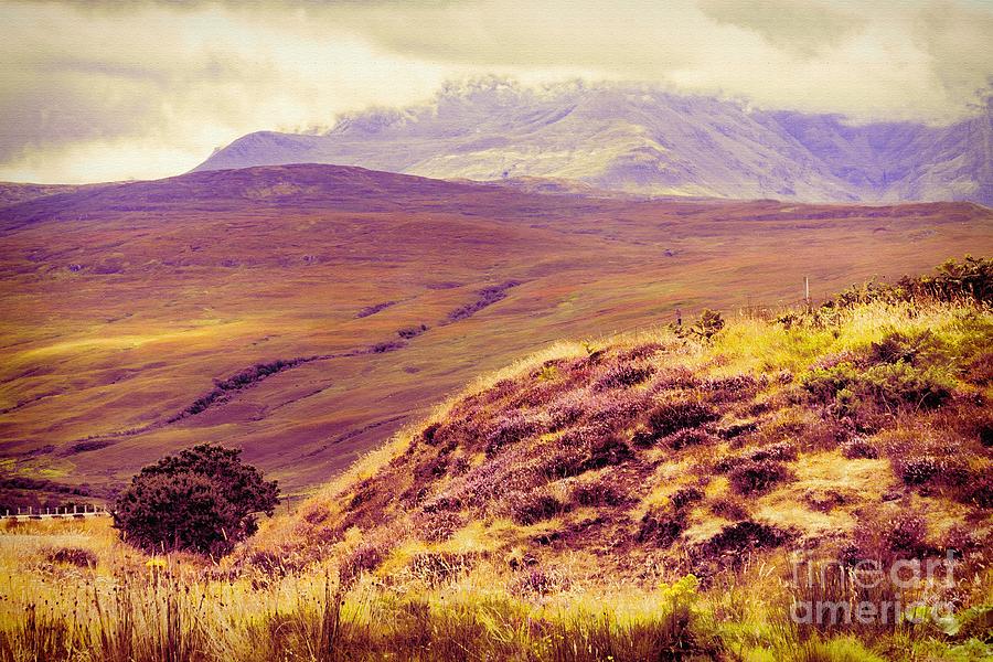 Highland Landscape Photograph by Diane Macdonald