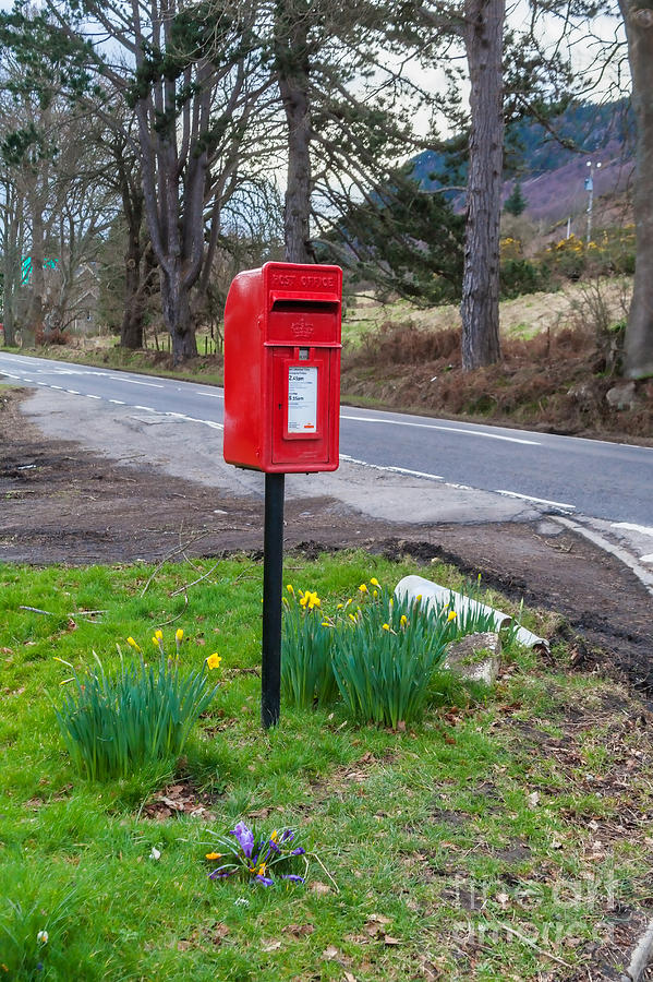 Highland Mail Photograph by Diane Macdonald