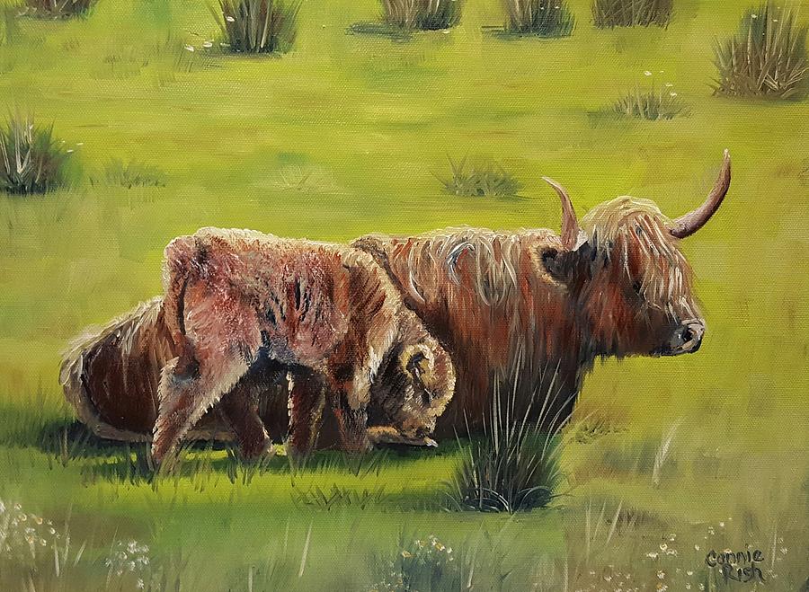 Highland Pair Painting by Connie Rish