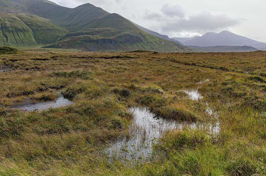 Highland peat bog Photograph by Gary Eason