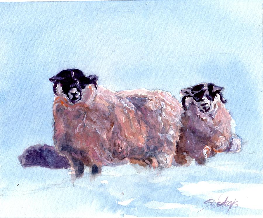 Highland Sheep Painting by Sheila Wedegis