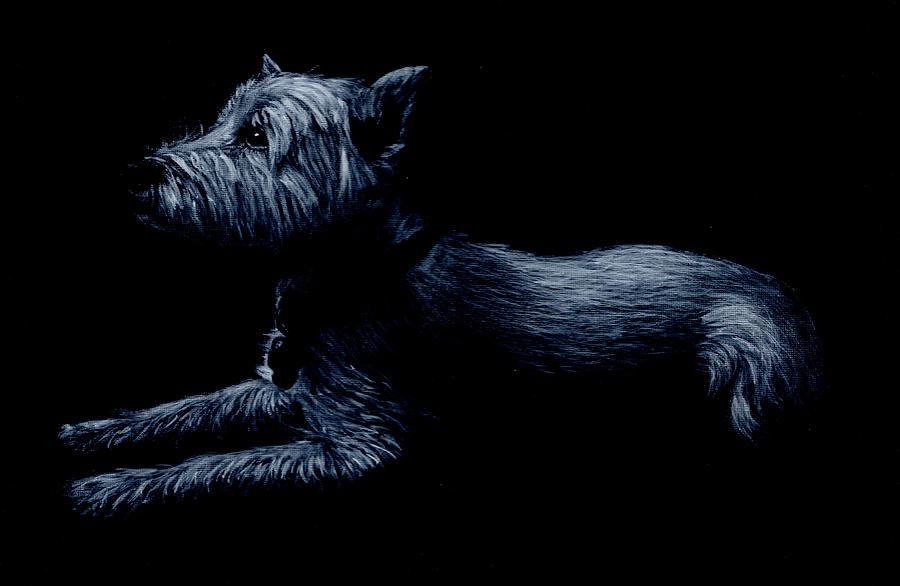 Highland Terrier Painting by John Neeve