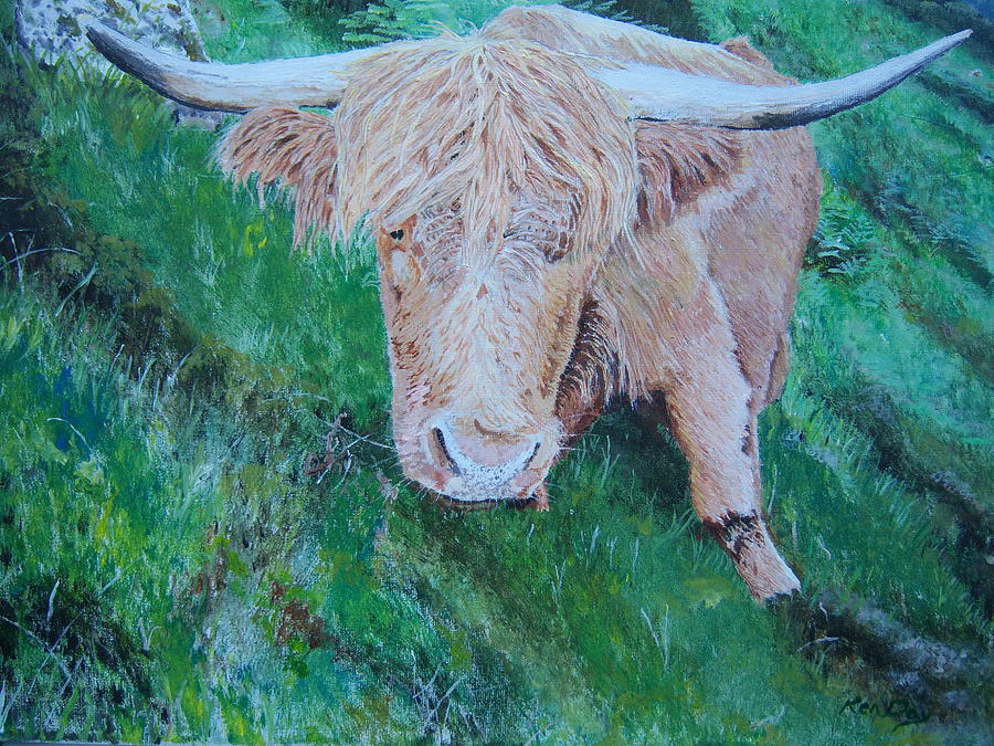 Wildlife Painting - Highlander or Heiland Coo by Ken Day