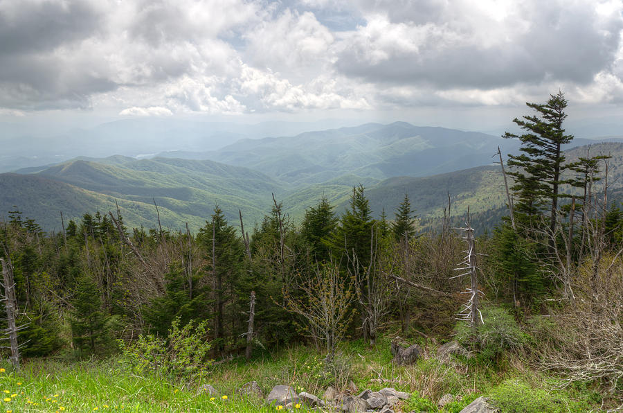 Clingmans Dome Photograph - Highlights by Kristina Plaas Clingmans Dome Photograph - Highlights by Kristina Plaas