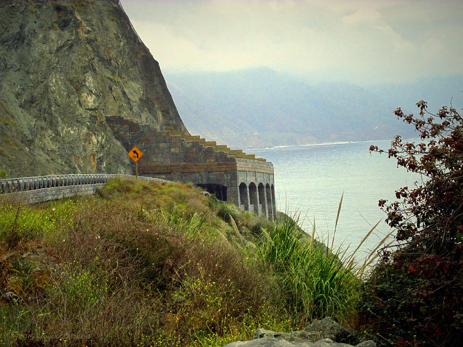 Highway 1 At Lucia South Of Big Sur CA Photograph by Joyce Dickens