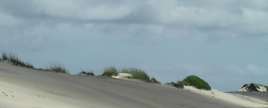 Beach Photograph - Highway 12 Dunes 2017f by Cathy Lindsey