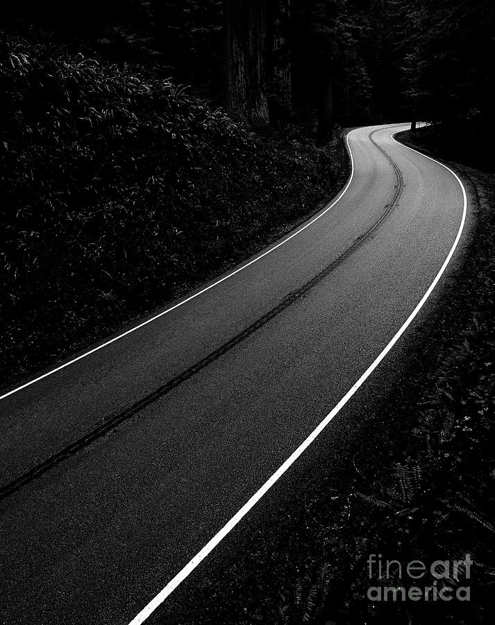 Highway 199 through Redwoods National Park Photograph by Jim Corwin ...